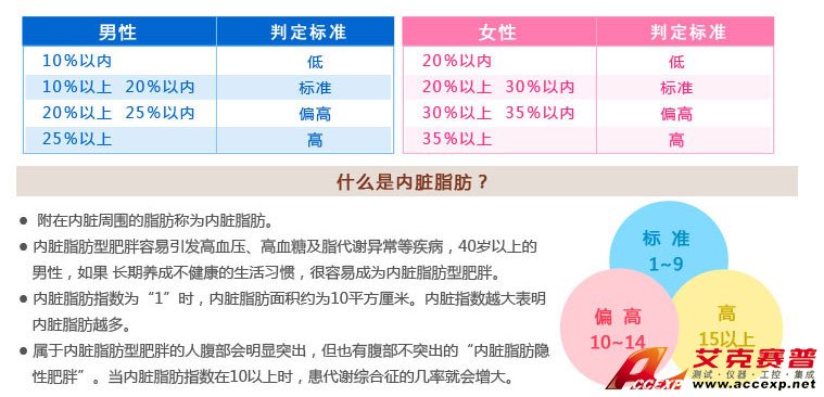 什么是內臟脂肪及內臟脂肪型肥胖